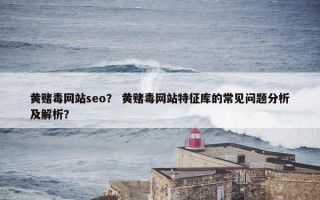 黄赌毒网站seo？ 黄赌毒网站特征库的常见问题分析及解析？