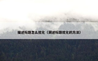 描述标题怎么优化（简述标题优化的方法）