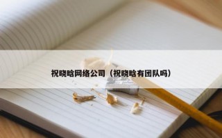 祝晓晗网络公司（祝晓晗有团队吗）