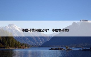 枣庄科技网络公司？ 枣庄市科技？