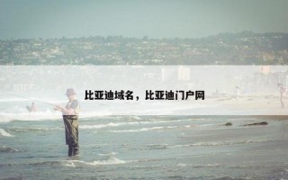 比亚迪域名，比亚迪门户网