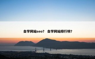 自学网站seo？ 自学网站排行榜？