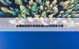 白银网站制作表格教程wps的简单介绍