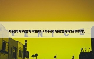 外贸网站销售专家招聘（外贸网站销售专家招聘要求）