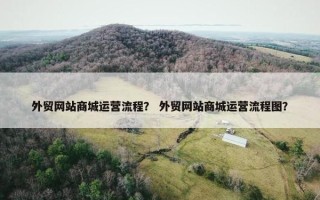 外贸网站商城运营流程？ 外贸网站商城运营流程图？