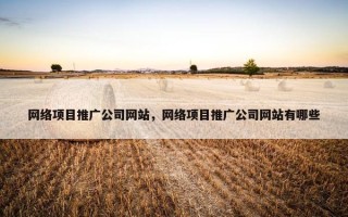 网络项目推广公司网站，网络项目推广公司网站有哪些