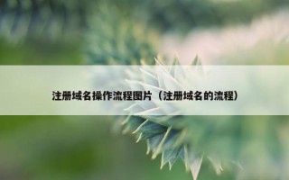 注册域名操作流程图片（注册域名的流程）