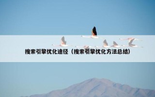 搜索引擎优化途径（搜索引擎优化方法总结）