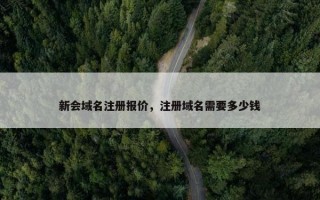 新会域名注册报价，注册域名需要多少钱