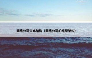 网络公司资本结构（网络公司的组织架构）