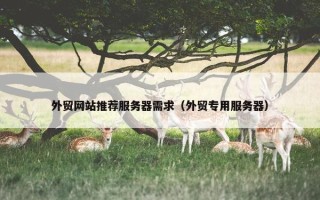 外贸网站推荐服务器需求（外贸专用服务器）