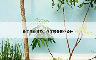 化工优化报价，化工设备优化设计