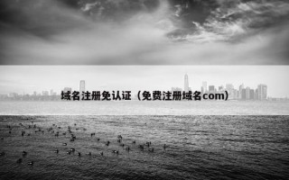 域名注册免认证（免费注册域名com）