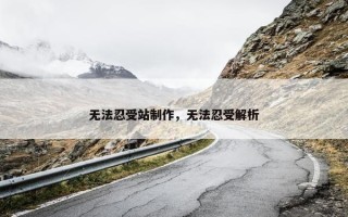 无法忍受站制作，无法忍受解析