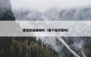 建站卖站赚钱吗（建个站可靠吗）