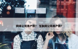 网络公司用户数？ 互联网公司用户数？