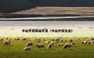 中山外贸网站开发（中山外贸企业）