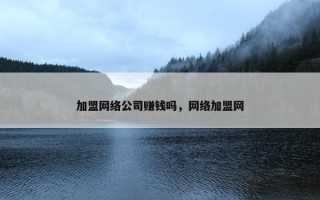 加盟网络公司赚钱吗，网络加盟网