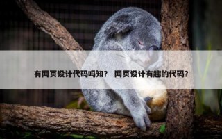 有网页设计代码吗知？ 网页设计有趣的代码？