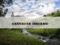 红色网页设计方案（网络红色展馆）