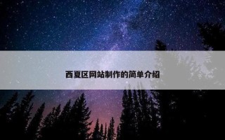 西夏区网站制作的简单介绍