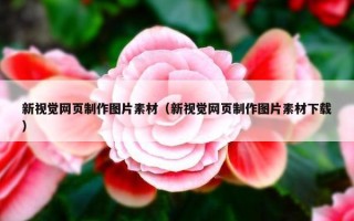新视觉网页制作图片素材（新视觉网页制作图片素材下载）