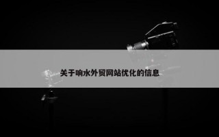 关于响水外贸网站优化的信息