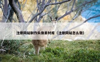 注册网站制作头像素材库（注册网站怎么做）
