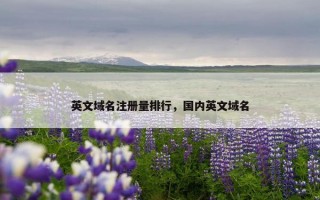 英文域名注册量排行，国内英文域名