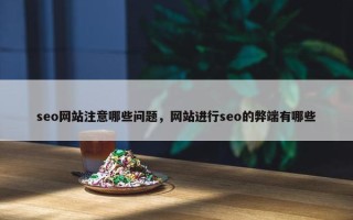 seo网站注意哪些问题，网站进行seo的弊端有哪些