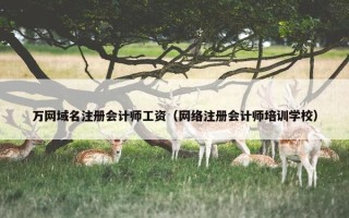 万网域名注册会计师工资（网络注册会计师培训学校）