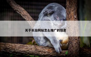 关于长治网站怎么推广的信息