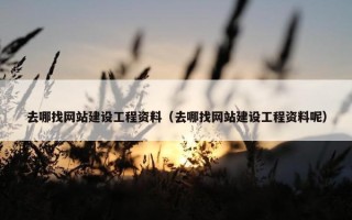 去哪找网站建设工程资料（去哪找网站建设工程资料呢）