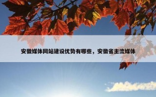 安徽媒体网站建设优势有哪些，安徽省主流媒体
