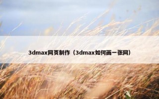 3dmax网页制作（3dmax如何画一张网）