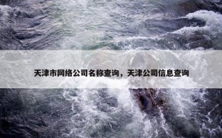 天津市网络公司名称查询，天津公司信息查询
