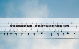 企业商城建站方案（企业建立站点的方案有几种）