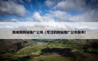 西城做网站推广公司（专注的网站推广公司服务）