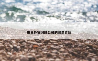 朱良外贸网站公司的简单介绍