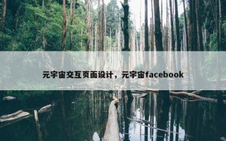 元宇宙交互页面设计，元宇宙facebook