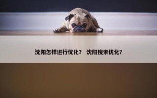 沈阳怎样进行优化？ 沈阳搜索优化？