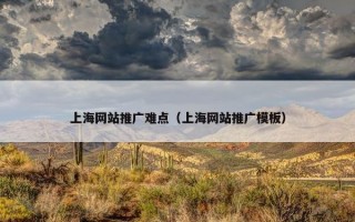 上海网站推广难点（上海网站推广模板）