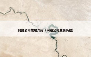 网络公司发展介绍（网络公司发展历程）