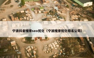宁波抖音搜索seo优化（宁波搜索优化排名公司）