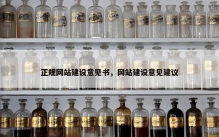 正规网站建设意见书，网站建设意见建议