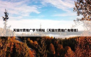 天猫付费推广学习网站（天猫付费推广有哪些）