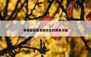 承德短获客系统优化的简单介绍