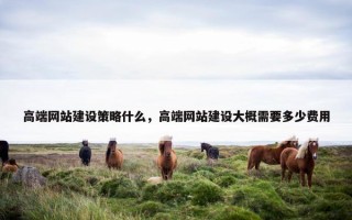 高端网站建设策略什么，高端网站建设大概需要多少费用