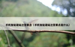 手机智能建站注意要点（手机智能建站注意要点是什么）