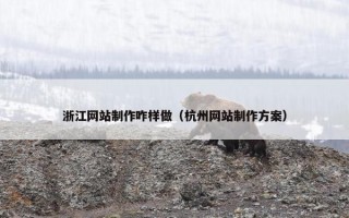 浙江网站制作咋样做（杭州网站制作方案）
